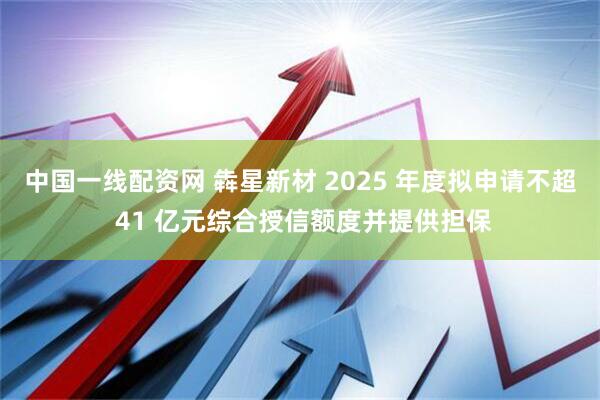中国一线配资网 犇星新材 2025 年度拟申请不超 41 亿元综合授信额度并提供担保
