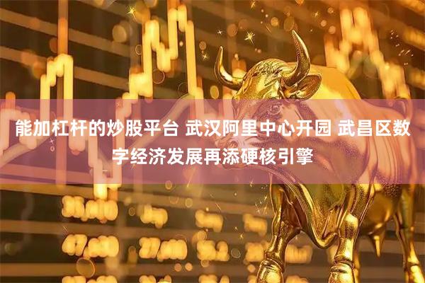 能加杠杆的炒股平台 武汉阿里中心开园 武昌区数字经济发展再添硬核引擎